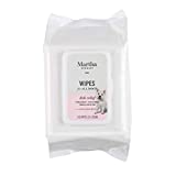 Martha Stewart for Pets Itch Relief Grooming Wipes for Dogs | Hypoallergenic Dog Wipes, 100 Count | Relieving Anti Itch Dog Grooming Wipes for All Dogs