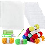 Pllieay 33 Pieces Mesh Plastic Canvas Sheets Kit Including 15 Pieces Clear Plastic Canvas, 12 Color Acrylic Yarn and Embroidery Tools for Embroidery Plastic Canvas Craft