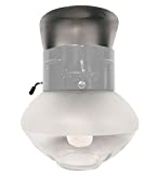 Humphrey 9PG Propane Indoor Gas Light, Pebble Gray Pre-Formed Mantle