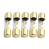 Etopar 5 X 80A AGU Fuse Car Auto Audio Power Safety Protect Glass Tube Gold Plated Radio