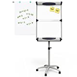 VIZ-PRO Dolphin Magnetic Mobile Whiteboard/Flipchart Easel, 28 X 40 Inches