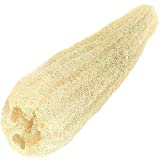 NileCart Natural Organic Egyptian Loofah Sponges, Large Exfoliating Shower Loofah Body Scrubbers SPA Beauty Bath and Radiant Skin (One Whole Loofah 22")
