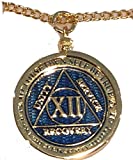 RecoveryChip Reflex or Elegant AA Medallion Sobriety Chip Holder 22" Necklace 18k Gold Plated