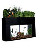 AquaSprouts Garden, Self-Sustaining Desktop Aquarium Aquaponics Ecosystem, Fits Standard 10 Gallon Aquariums