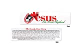 Scripture Candy, Jesus Our Shepherd Bookmarks 24 Count (White)