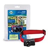 PetSafe Wireless Pet Containment System Receiver Collar Only for Dogs and Cats Over 5 lb, Waterproof with Tone and Static Correction - from The Parent Company of Invisible Fence Brand
