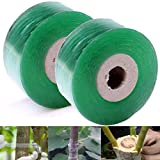 IronBuddy 2 Pack Nursery Grafting Tapes 1.57” x 328’ Stretchable Bio-degradable Self-Adhesive Plant Repair Tape Grafting Film for Garden Plant Fruit Trees Seeding