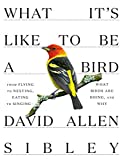 What It's Like to Be a Bird: From Flying to Nesting, Eating to Singing--What Birds Are Doing, and Why (Sibley Guides)