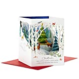 Hallmark Paper Wonder Pop Up Holiday Card (Woodland Animals Pop Up Christmas Card)
