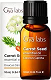 Gya Labs Carrot Seed Essential Oil (10ml) - Earthy, Woodsy Scent