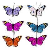 Berfutall- Feather Butterfly Decorations Set of 12 Vibrant Multi Colored Craft Butterflies on Clip .Party Spring Home Decor Floral Pics