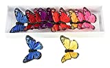 Shinoda Design Center 0165500211 12 Piece Bright Color Butterfly Decor, 3", Assorted