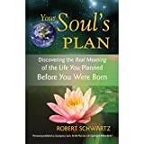 Your Soul's Plan: Discovering the Real Meaning of the Life You Planned Before You Were Born