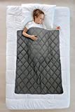 HYPNOSER Weighted Blanket 2.0 for Kids,Children,Dogs,Heavy Blanket(36"x48" 3 Lbs, Dark Grey,Fit Twin Size Bed)