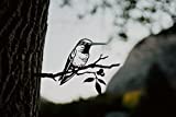 Steel Hummingbird Decoration | Metal Art | Garden Art | Backyard Art | Tree Art | Silhouette Art | Corten Steel | Patina Rust