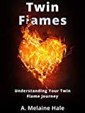 Twin Flames: Understanding Your Twin Flame Journey (Twin Flame Explanations) (Twin Flame Series Book 1)
