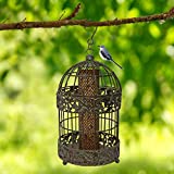 13 in. Caged Squirrel Proof Bird Feeder for Small Songbirds, Tall Rustic Metal Hanging Bird Feeder for Garden, Mesh Peanut Bird Feeder for Patio Yard - Verdigris 3.5 Cups Seed Capacity