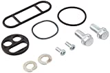 All Balls Racing 60-1000 Petcock (Fuel Valve) Rebuild Kit