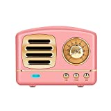 Dosmix Wireless Stereo Retro Speakers, Portable Bluetooth Vintage Speakers with Powerful Sound, Answering Calls, Alexa Support, TF Card, AUX for Kitchen Bedrooms Party Outdoor Android iOS Pink