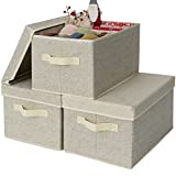 GRANNY SAYS Storage Containers with Lids, Large Storage Baskets for Closet Organization, Closet Organizers and Storage Containers, Beige, 3-Pack