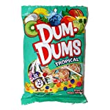 Dum-Dums (1) bag Tropical Assorted Flavors Lollipop Candy - Free of Major Allergens 3.5 oz