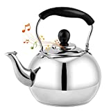 DclobTop Stove Top Whistling Tea Kettle 2.5 Quart Classic Teapot Mirror Polished Culinary Grade Stainless Steel Teapot for Stovetop