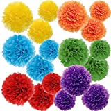 Gavoyeat Paper Pom Poms Color Tissue Flowers Birthday Celebration Wedding Party Halloween Christmas Outdoor Decoration,18 pcs of 10 12 14 Inch