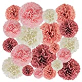 EpiqueOne 20-Piece Party Decoration Kit – Hanging Tissue Paper Pom Poms for Weddings and Other Special Occasions – Easy to Assemble and Install – Colors: Blush Pink, Dusty Rose, Mauve, Cream
