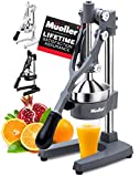 Mueller Professional Citrus Juicer - Manual Citrus Press and Orange Squeezer - Metal Lemon Squeezer - Premium Quality Heavy Duty Manual Orange Juicer and Lime Squeezer Press Stand, Gray