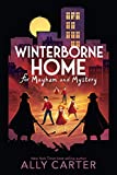 Winterborne Home for Mayhem and Mystery (Winterborne Home for Vengeance and Valour)