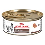 Royal Canin Veterinary Diet Feline And Canine Recovery Rs In Gel Canned Cat and Dog Food, 5.8 oz