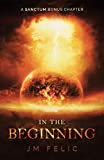 In the Beginning: A Sanctum Bonus Chapter