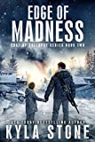 Edge of Madness: A Post-Apocalyptic EMP Survival Thriller (Edge of Collapse Book 2)