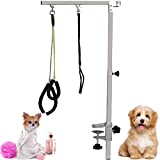 Foldable Pet Grooming Arm with Clamp, 39.4" Height Adjustable Dog/Cat Grooming Loop Noose & Two No Sit Haunch Holder for Medium & Small Pets, Portable Pet Grooming Tool (Silver), Not Include Table