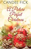 A Picture Perfect Christmas (The Wardrobe Dinner Theater Series Book 4)