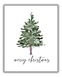 Merry Christmas with Evergreen Tree No.19 Holiday Wall Art Print - 11x14 UNFRAMED Minimalist Picture Perfect for Farmhouse, Rustic, Vintage, Cottage, Country Home Decor.