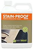Stain Proof Premium Impregnating Sealer - 1 Quart, Protects Against Stains, Water Damage & Dissolved Salts, Sealer for Granite, Marble, Tile & Stone; for Indoor & Outdoor Application