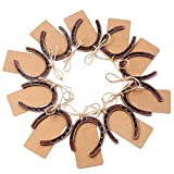 PartyTalk 30pcs Good Lucky Horseshoe Wedding Favors for Guests, Vintage Craft Horseshoe Favors with Kraft Gift Tags for Rustic Wedding Birthday Party Decorations