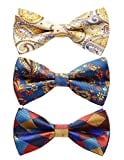 HISDERN 3/6 Pack Mixed Design Pre-tied Bow Ties with Adjustable Neck Band, Bowties - Multiple Sets