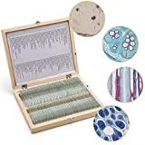 100 Prepared Microscope Slides Set with Wooden Casefor Biological Science Education