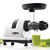 Omega MM900HDS Masticating Juicer, Cold Press Juicer Machine For Celery with Adjustable Dial, 200-Watts, Silver