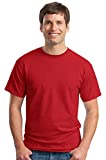 Gildan Men's G2000 Ultra Cotton Adult T-shirt, Antique Cherry Red, Medium