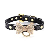 LOVPE Gold Bling Diamond Giltter Leather Fashion Collar with Ring for Tags for Small Dogs,Cat,Puppy and Kitty Walking Travel Party Gifts Tedd, Poodle Dog,Bulldog and Yorkshire Terrier (S, Black)