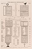 Shannon Roddy The Biblical Genealogy Chart, Family Tree from Adam to Jesus, Books of the Bible Timeline Chart, Gift for Pastors (2 Pack)