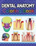 Dental Anatomy Coloring Book: Tooth Anatomy Coloring Work Book for Medical and Nursing students. Children's Science Books. Dental Anatomy Coloring ... Dental Assisting & Hygienist Coloring Book