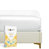 California Design Den Luxury 100% Cotton Fitted Sheet Queen Size, Softest 400 Thread Count Sateen, No-Pop Off Elastic, Deep Pocket Queen Fitted Sheet Only (Bright White)