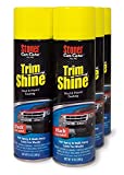 Stoner Car Care 91034-6PK 12-Ounce Trim Shine Protectant Aerosol Restores Dull or Faded Interior and Exterior Plastic Renew Bumpers, Running Boards, and More, Pack of 6