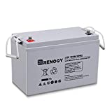 Renogy Deep Cycle AGM Battery 12 Volt 100Ah, 3% Self-Discharge Rate, 2000A Max Discharge Current, Safe Charge, Appliances for RV, Camping, Cabin, Marine and Off-Grid System, Maintenance-Free, Gray
