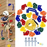 HAPPY MOTTE 20 Rock Wall Climbing Holds for Kids, with 8.53 Foot Climbing Knotted Rope and Handles Indoor and Outdoor Playground Play Set Slide Accessories with 2 Inch Mounting Hardware
