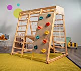 Indoor Toddler & Child Indoor Gym Playground Climber Real Wooden Playset 6-in-1 Slide, Rock Climb Wall, Rope Wall Climbing, Monkey Bars, Swing, Ladder Fun Gym for Children Ages 2 - 6yrs by Avenlur